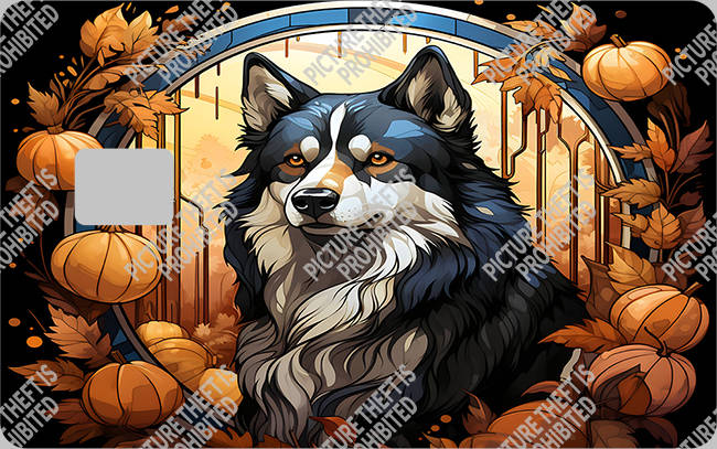 Bank  Card Sticker-BC-1613